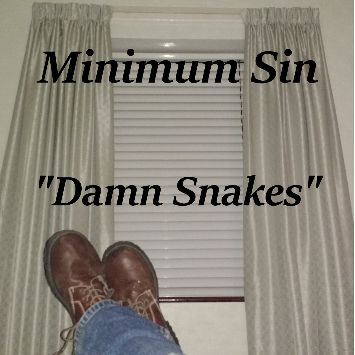 Damn Snakes cover