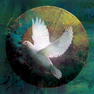Vigilance cover
