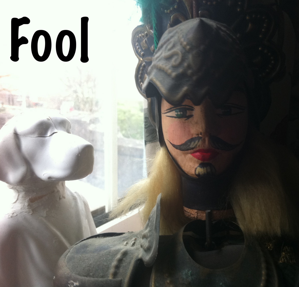 Fool cover