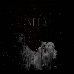 Seer cover