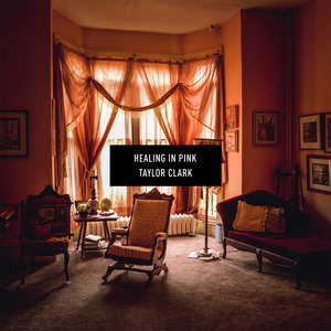 Healing In Pink cover