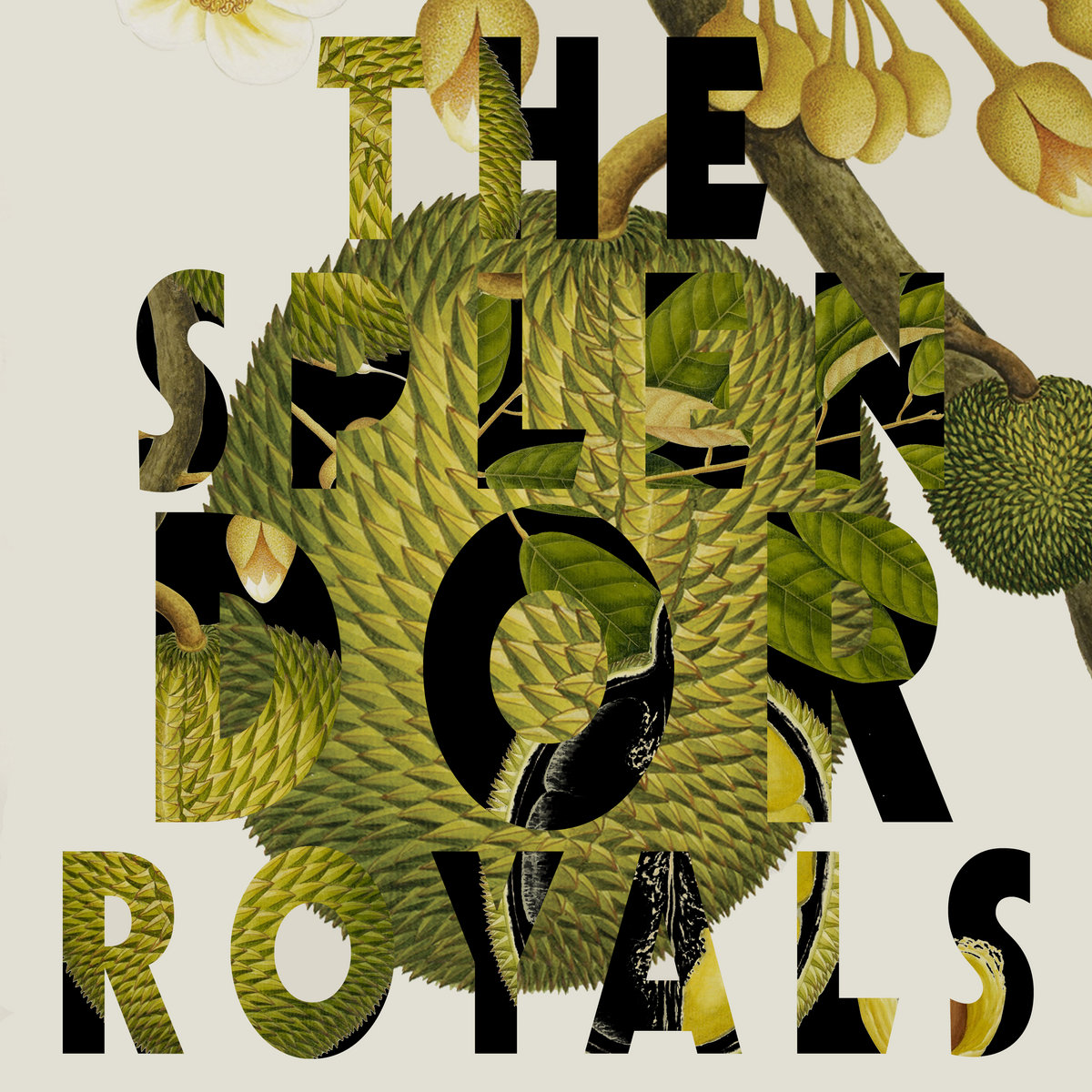 Royals by The Splendor