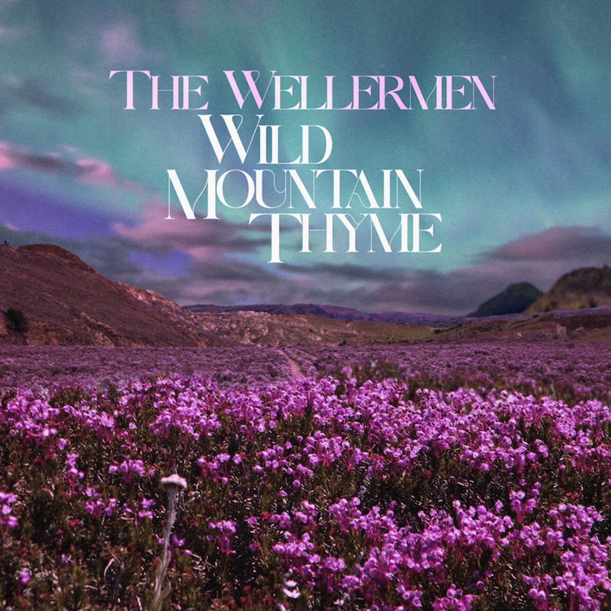 Wild Mountain Thyme The Wellermen