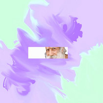 Ase Manual - Fluent cover art