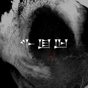 Equus (SPADE & ARCHER remix)Picore cover