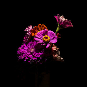 MadrugadaXenia Rubinos & El Individuo cover