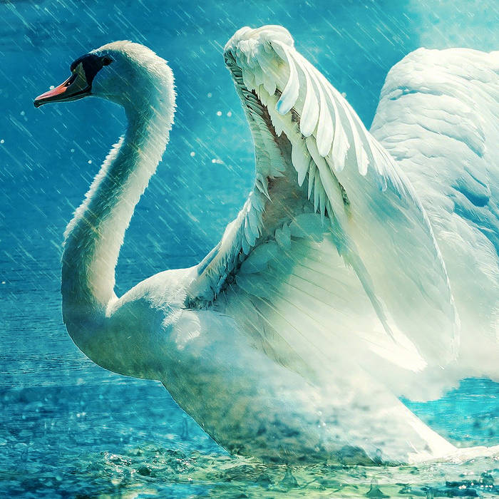 Le Vilain Petit Canard Fred Bouchal