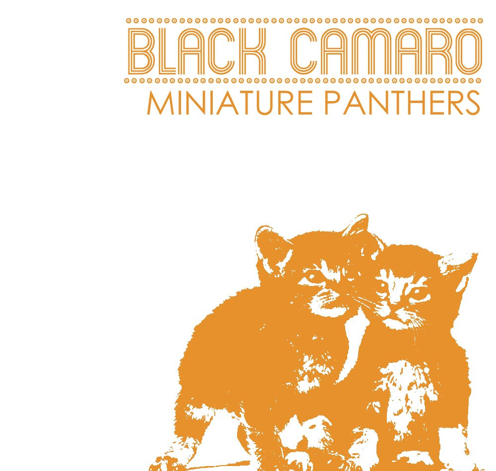 Miniature Panthers | Black Camaro