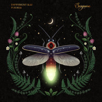 Different Ray — Flicker