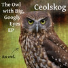 The Owl with Big Googly Eyes (Short Version; Minus Covers) Cover Art