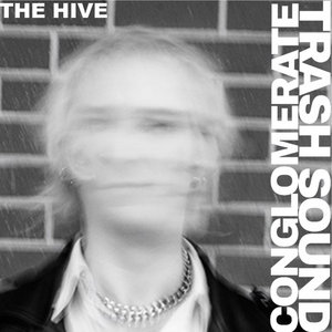 The Hive cover