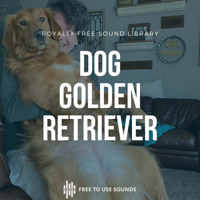 Golden Retriever Dog Sound Effects freetousesounds