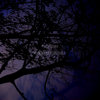 edge of the soul