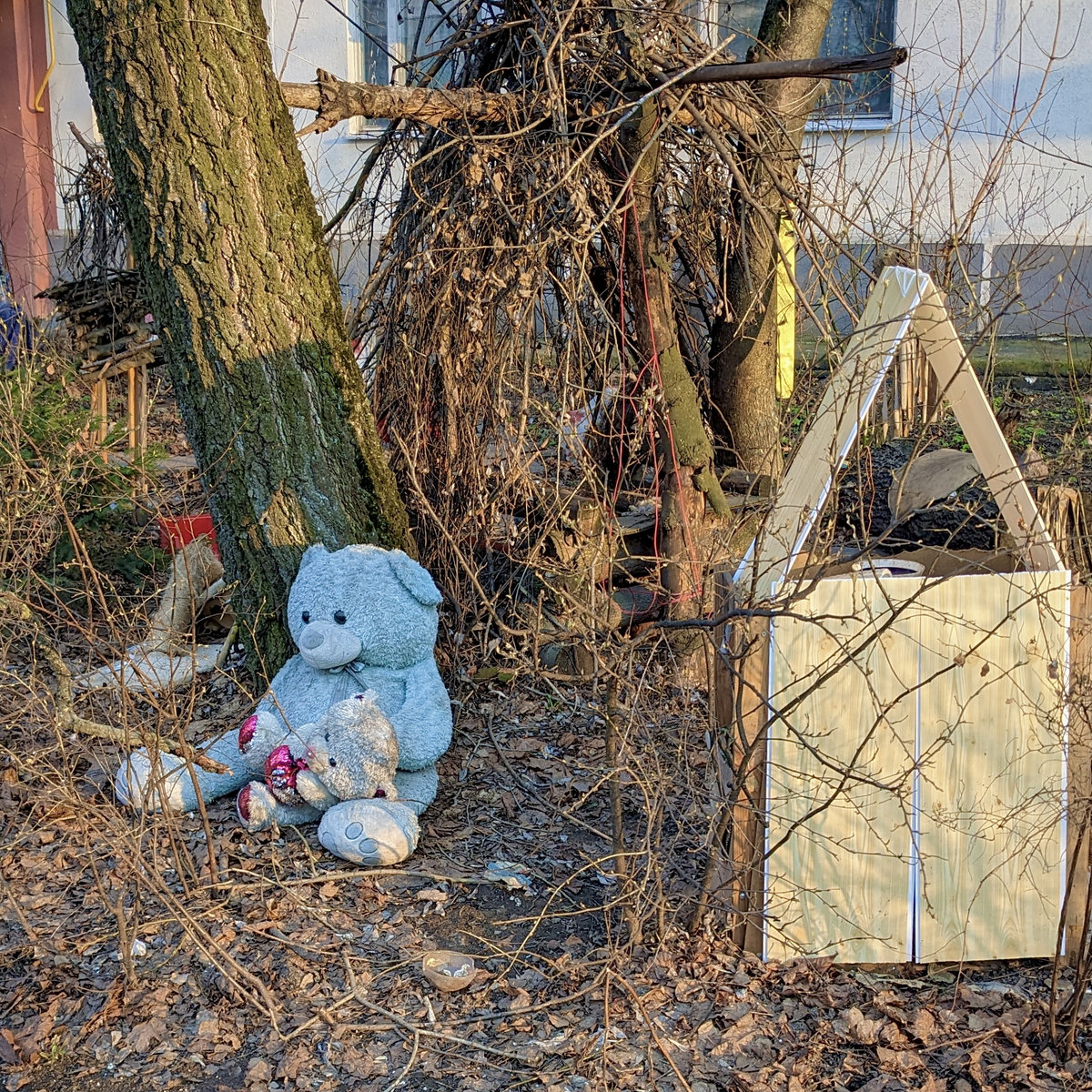 vyosny by foresteppe