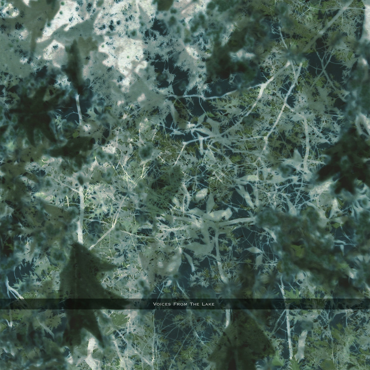 【廃盤3LP】Voices From The Lake / Voices Fro Voices From The Lake | Voices From The Lake