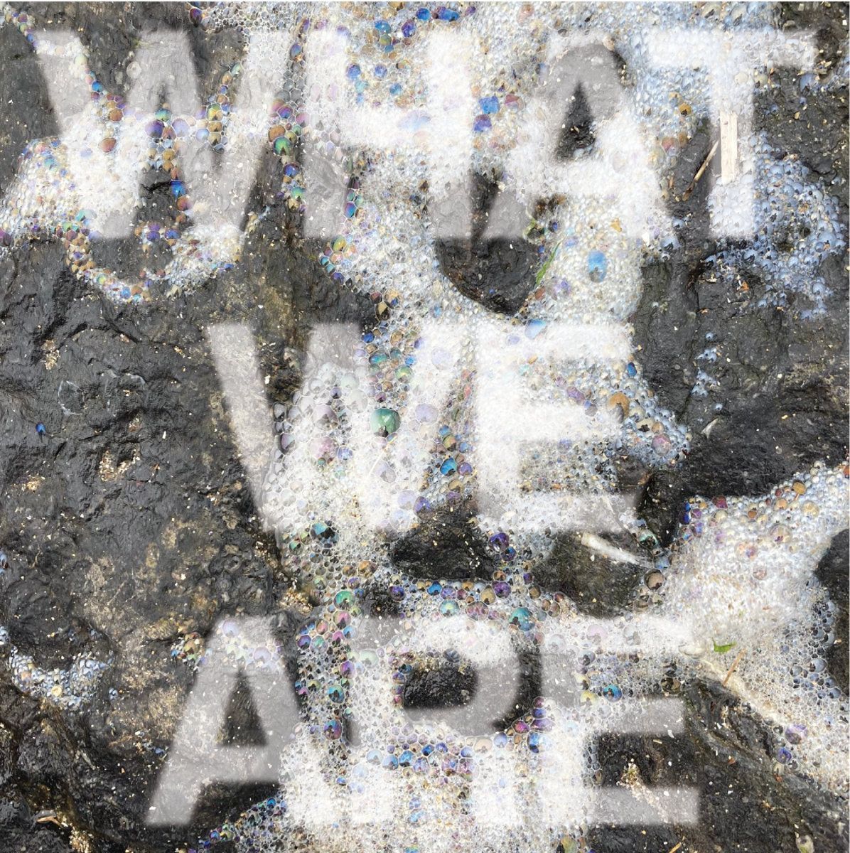 WHAT WE ARE cover