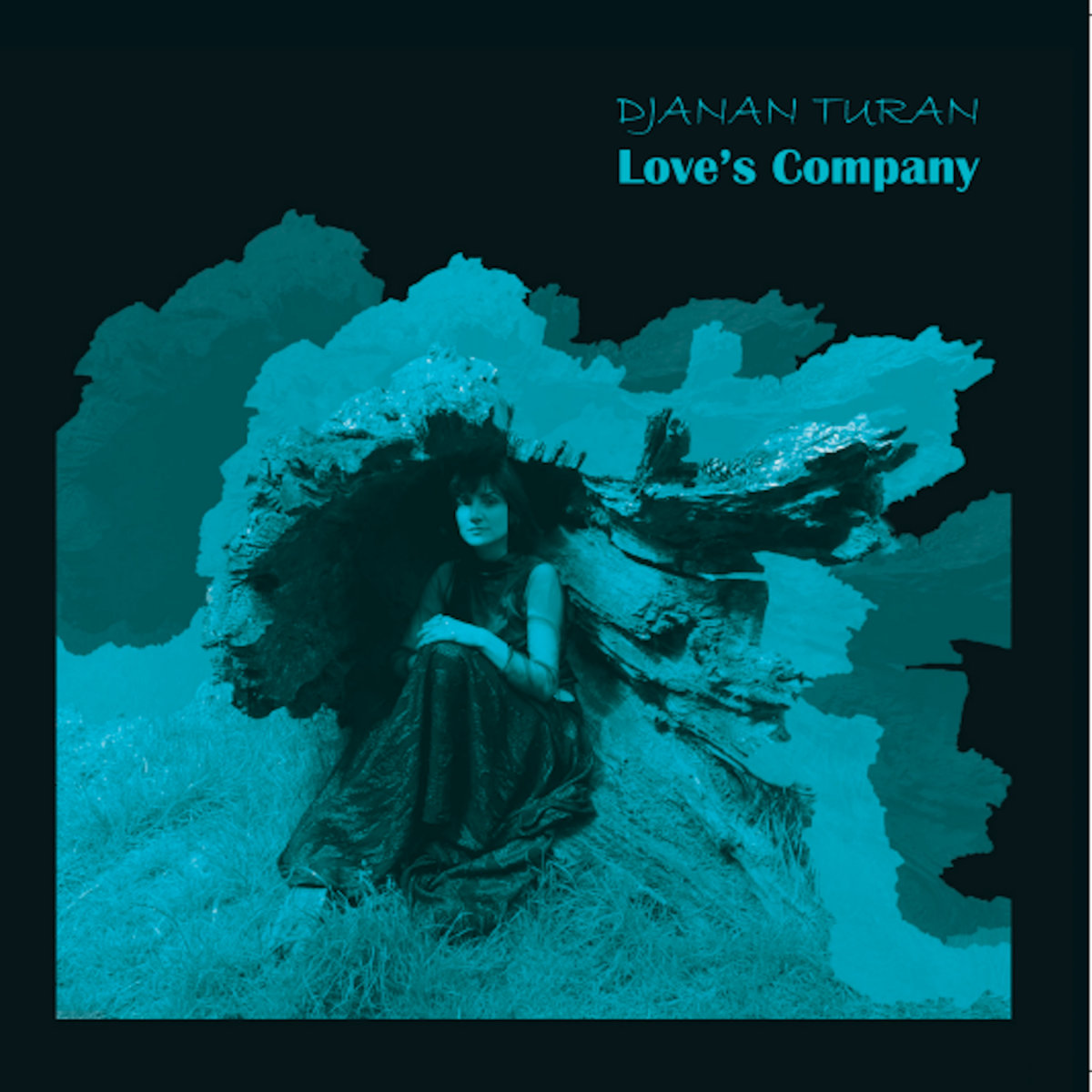 Love's Company Djanan Turan
