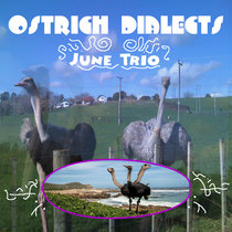 Ostrich Dialects cover art
