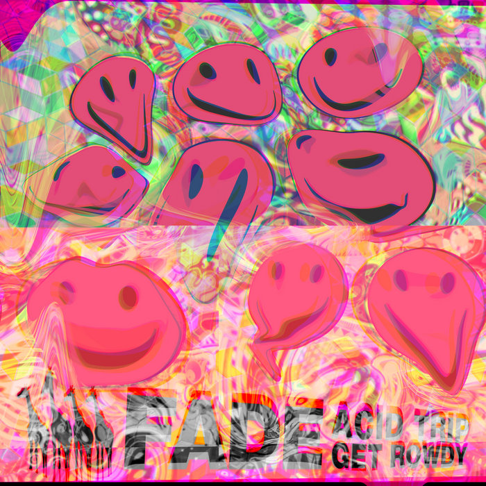 UK洋書　The Acid Trip Complete Guide The Acid Trip: A Complete Guide to Psychedelic Music by