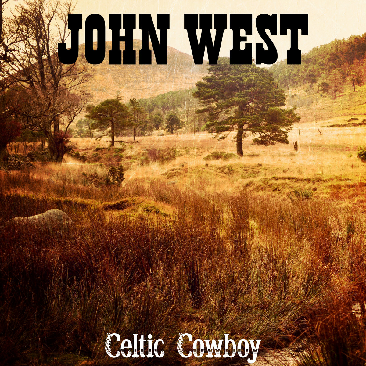 Celtic Cowboy cover
