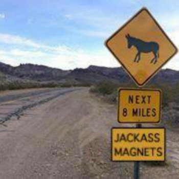 JACKASS MAGNETS