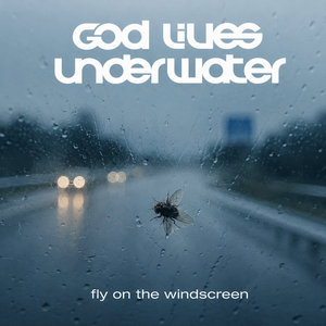 Fly On The Windscreen cover