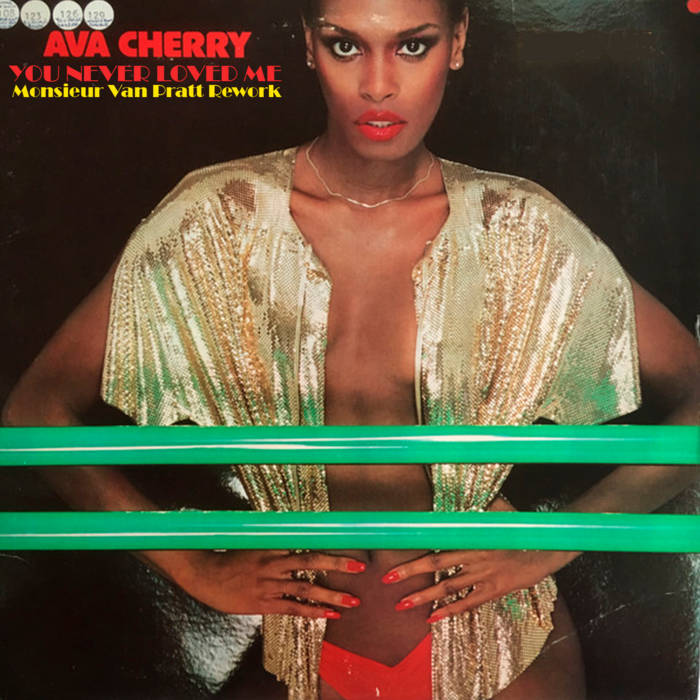 You Never Loved Me (Monsieur Van Pratt Rework) | Ava Cherry
