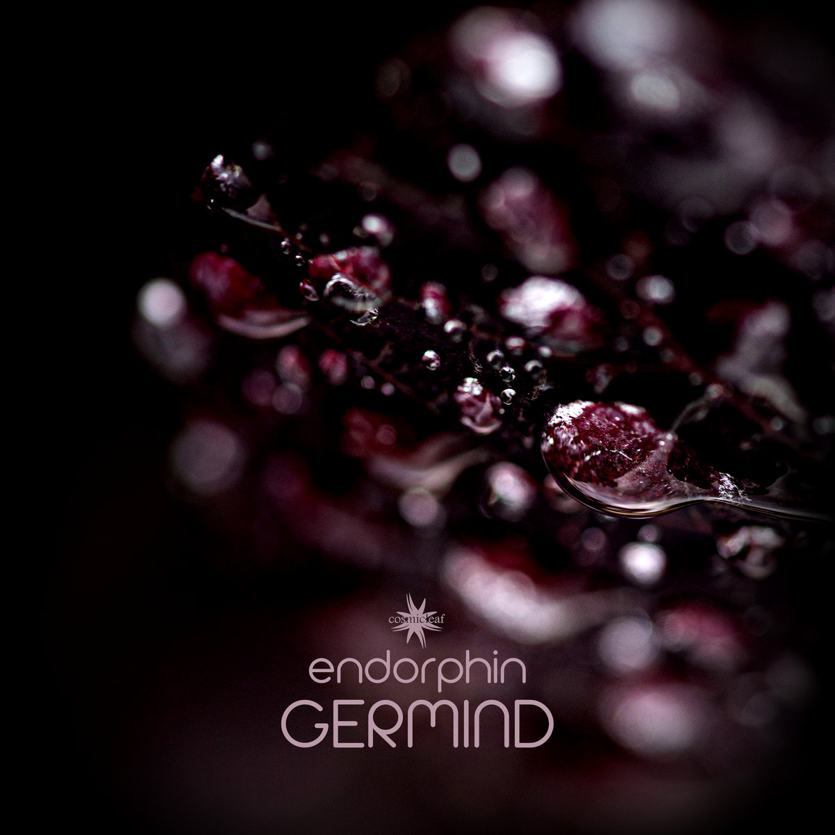 Endorphin [24bit 96khz] | Germind | Cosmicleaf Records