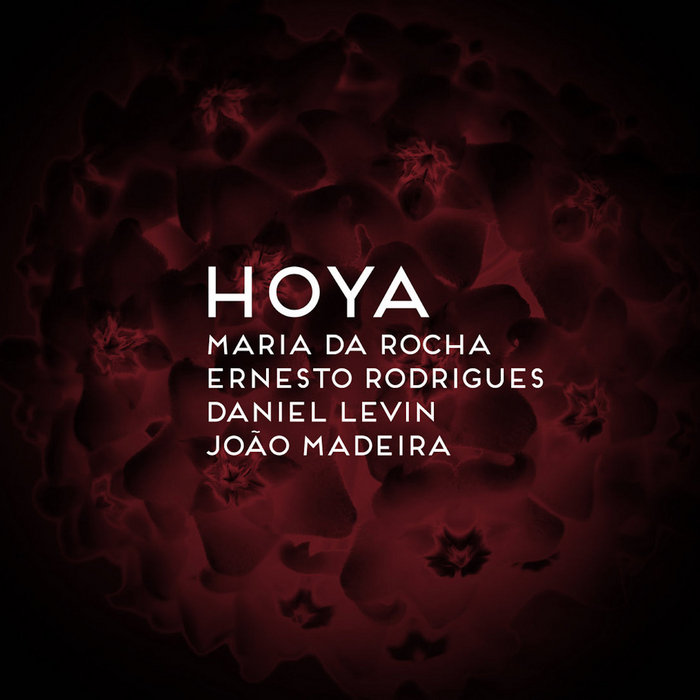 Quartet II | Maria da Rocha, Ernesto Rodrigues, Daniel Levin & João ...