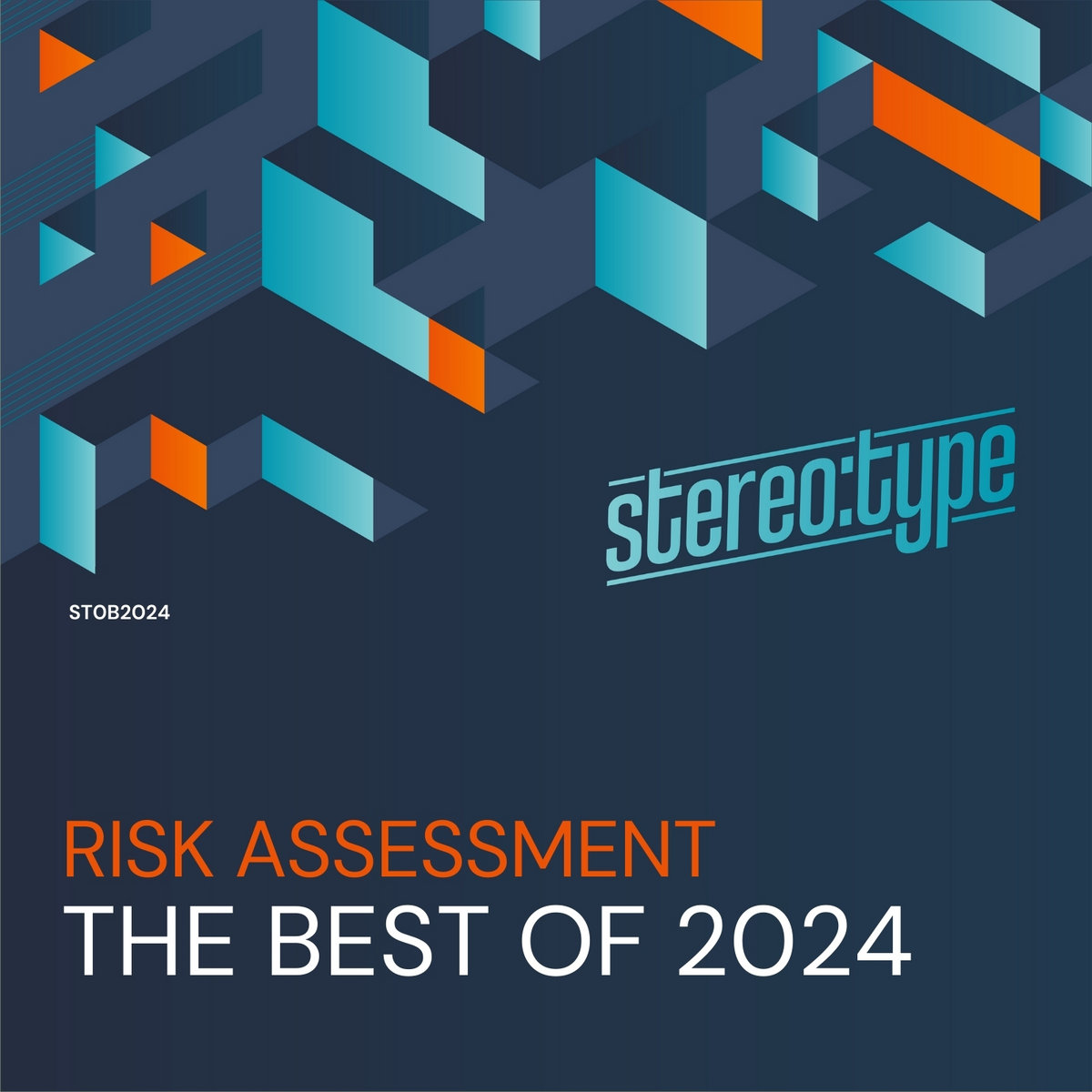 the-best-of-2024-risk-assessment