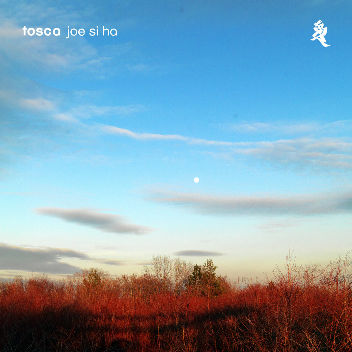 Tosca discography. Скука mp3