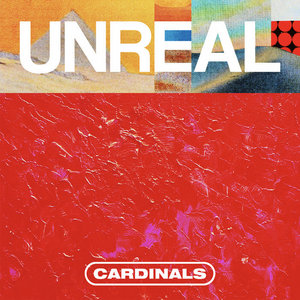Unreal cover