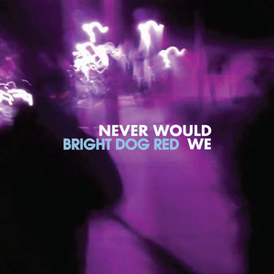 Never Would We cover