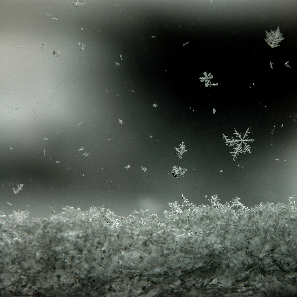 Winter Solstice