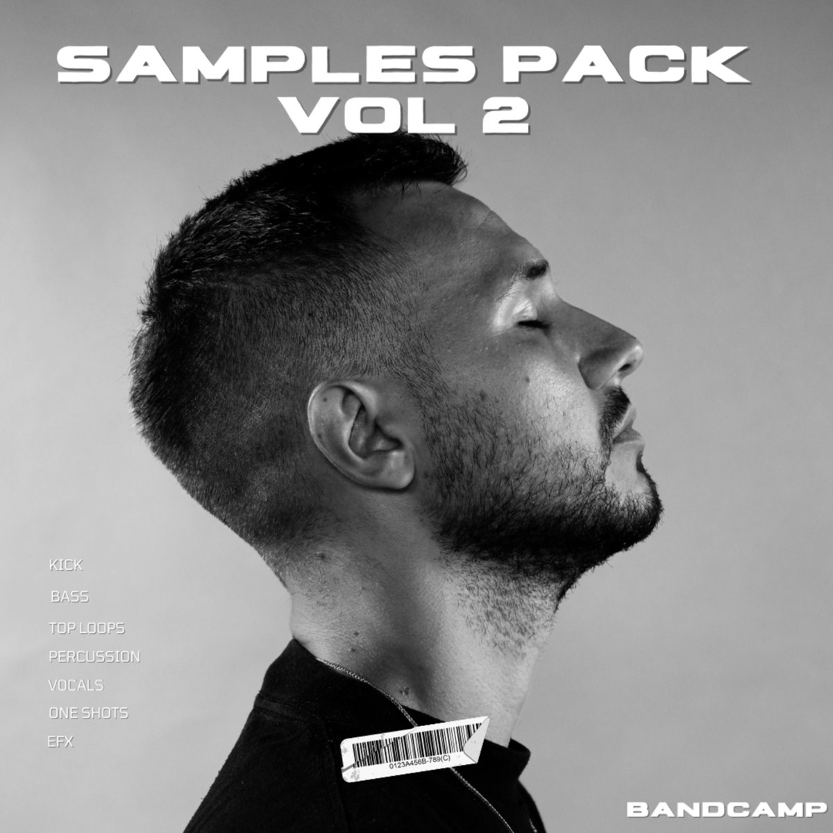 邦楽 HIGH LINE RECORDS FREE SAMPLER VOL.2 a3263101417_2.jpg