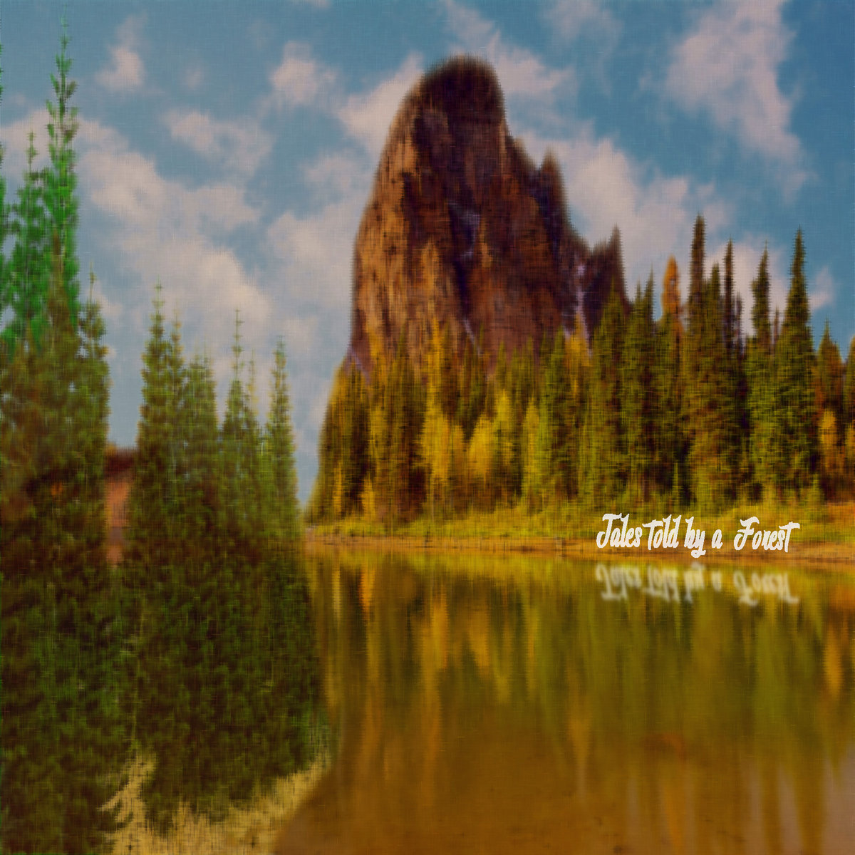 Tales told by a forest cover