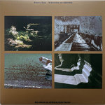 Parazoan Mapping 2 by Eric La Casa + Taku Unami | éric la casa