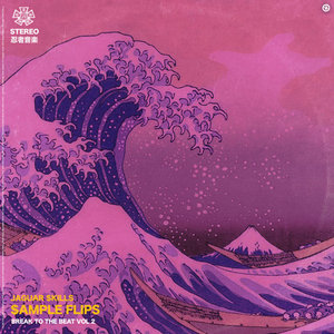 SAMPLE FLIPS: VOL 2 cover