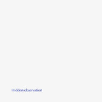 Hidden/observation cover art