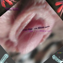 Huge Clitoris [EP] cover art