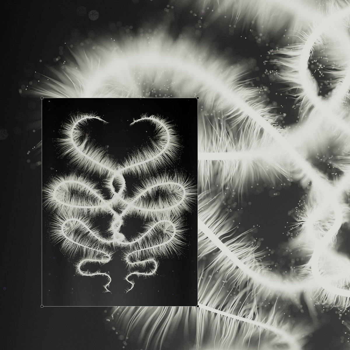 Overnal
