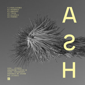 Ash cover