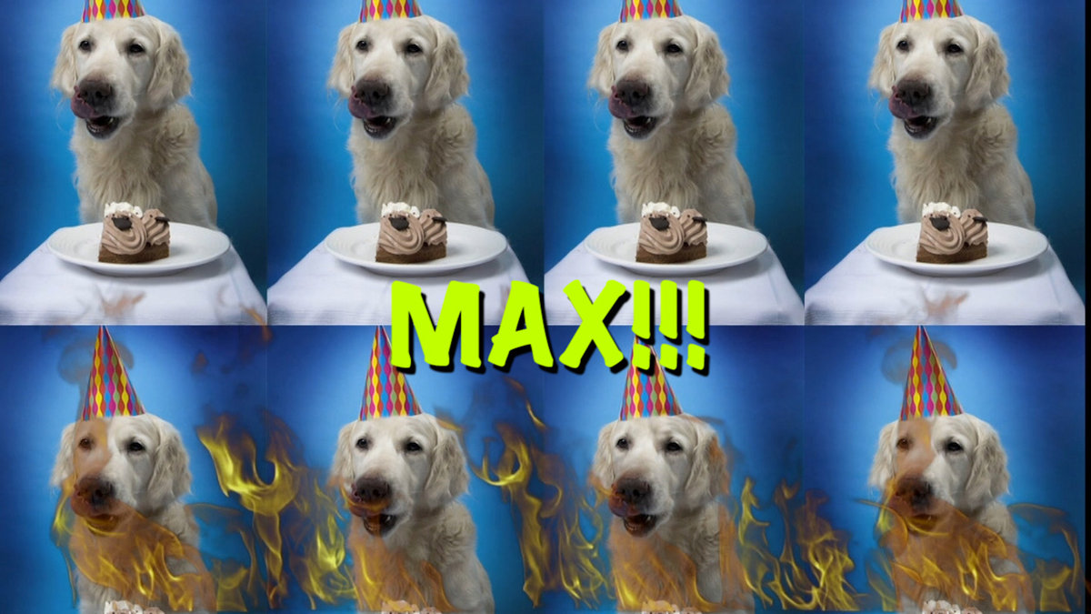 HAPPY BIRTHDAY MAX! | Epic Happy Birthdays