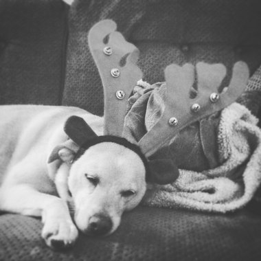 It Feels Like Christmas main photo