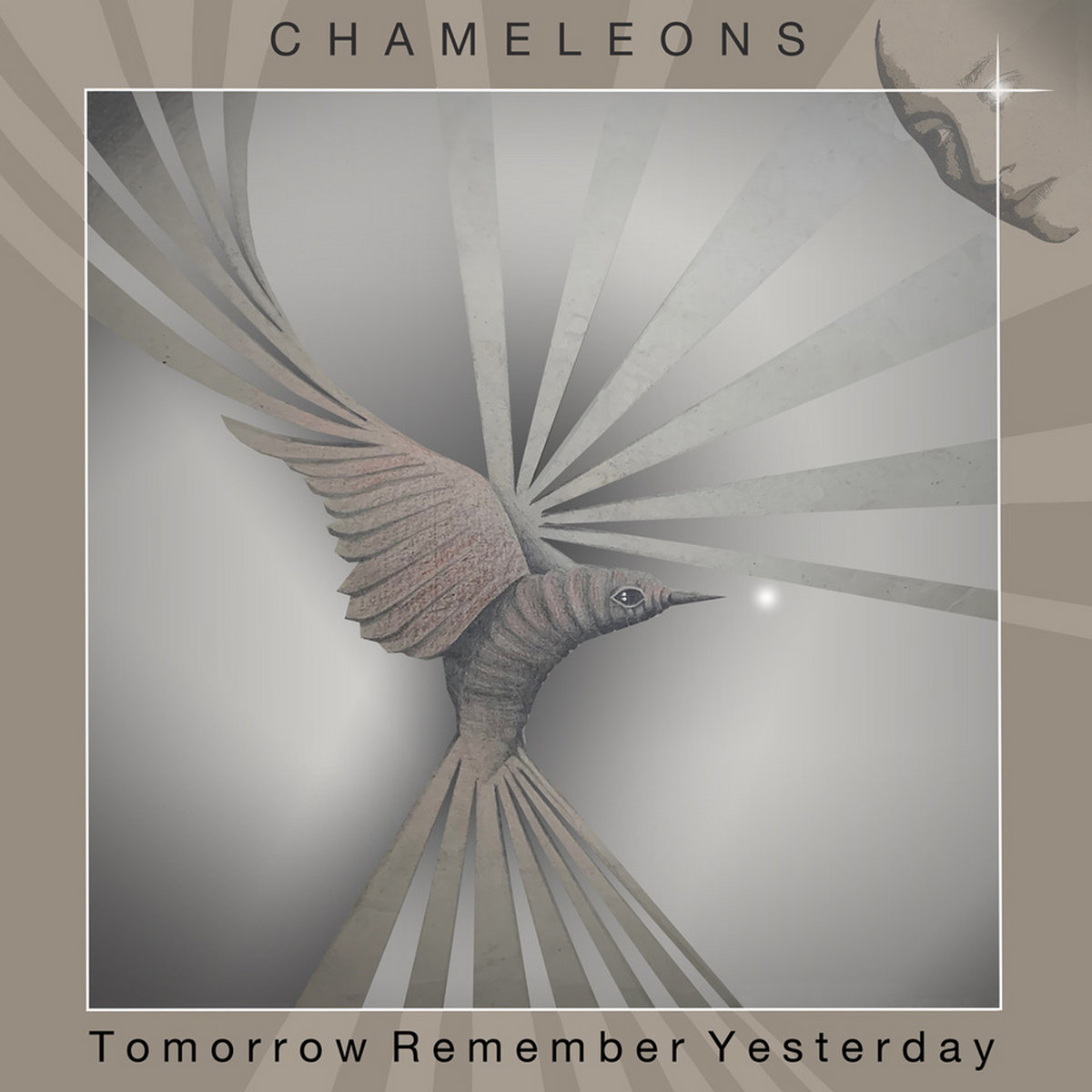 ファッション姫 通販 Tomorrow Remember Yesterday | Chameleons | Chameleons UK 洋楽