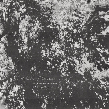 Music | White Flowers