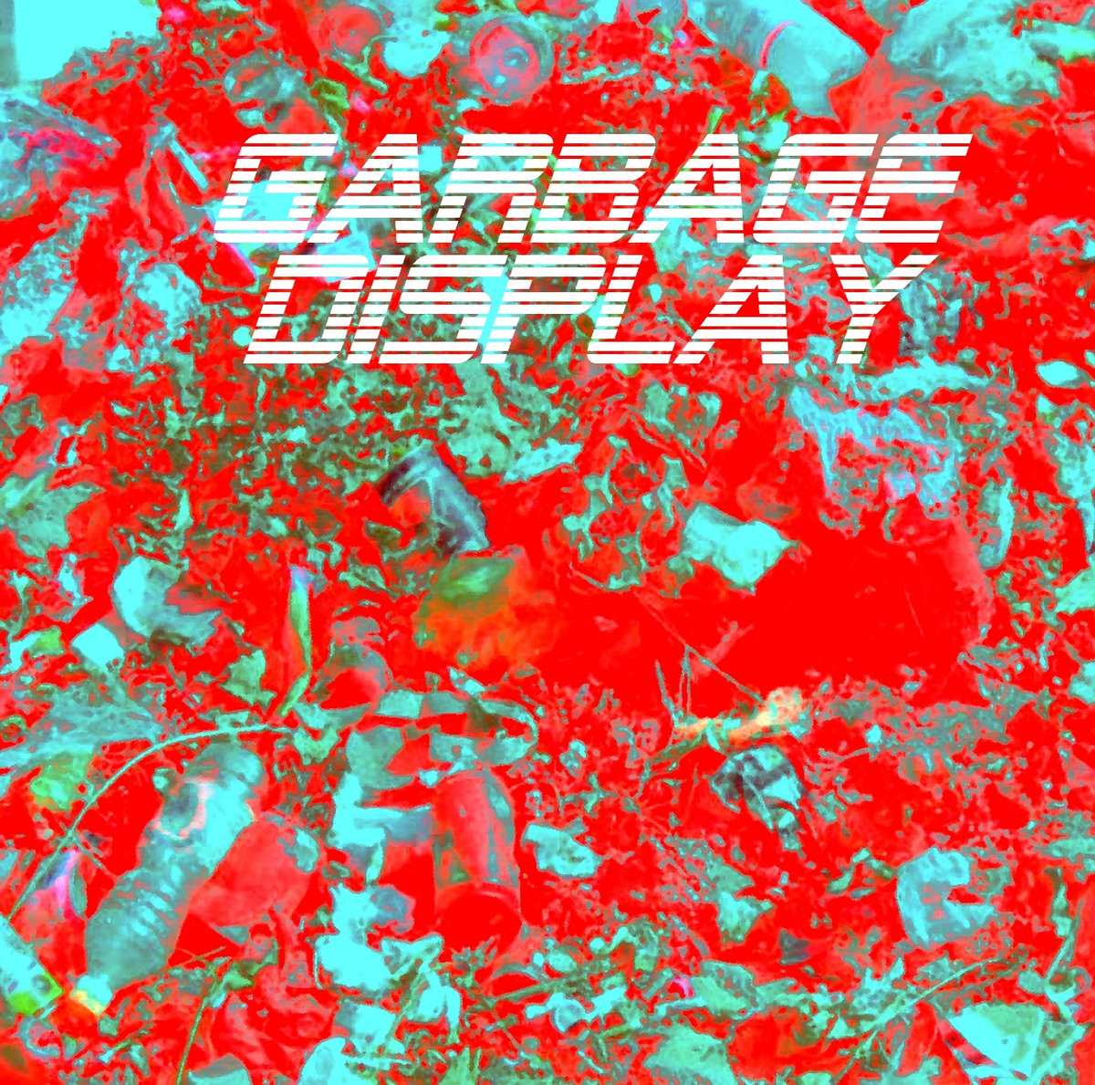 Garbage Display Garbage Display