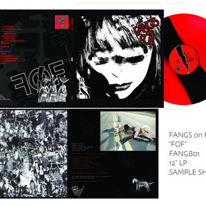 FOF (album) cover