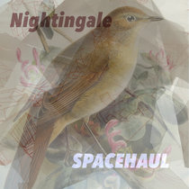 Nightingale cover art
