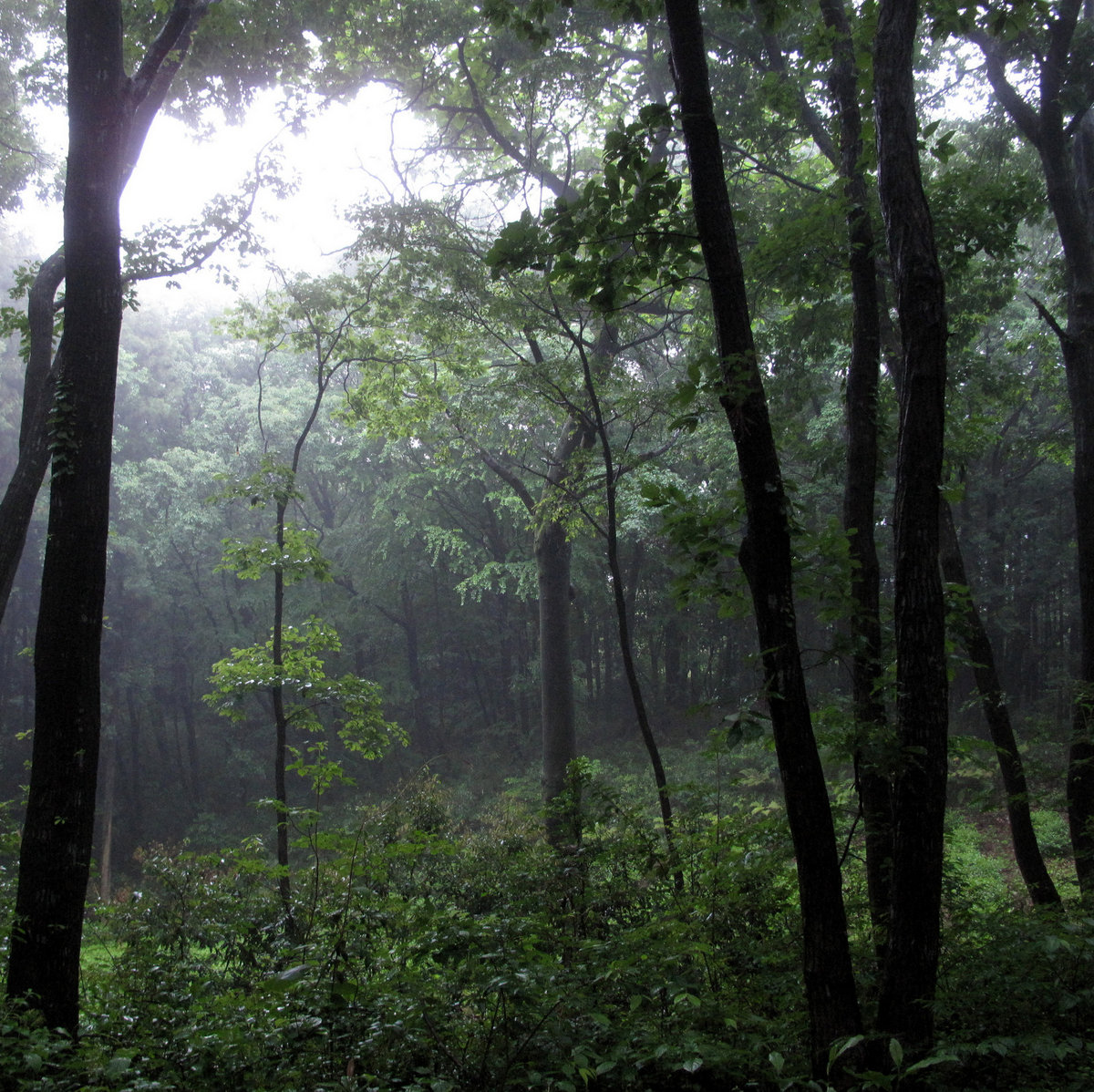 TAHI　3x2 nature sound 4K Video Nature Sounds for Relaxation & Meditation